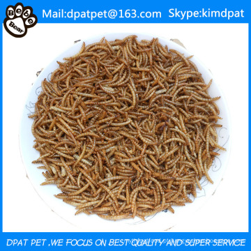 Granel seco Mealworms peixe réptil selvagem ave comida